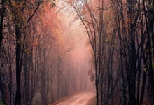 亚洲足球赛事精彩瞬间让人流连忘返