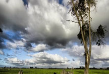 创造奇迹，欧洲篮球联赛英姿飒爽