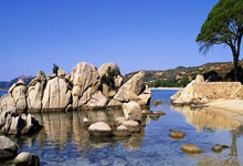 球队展现团队力量，共同向胜利进发